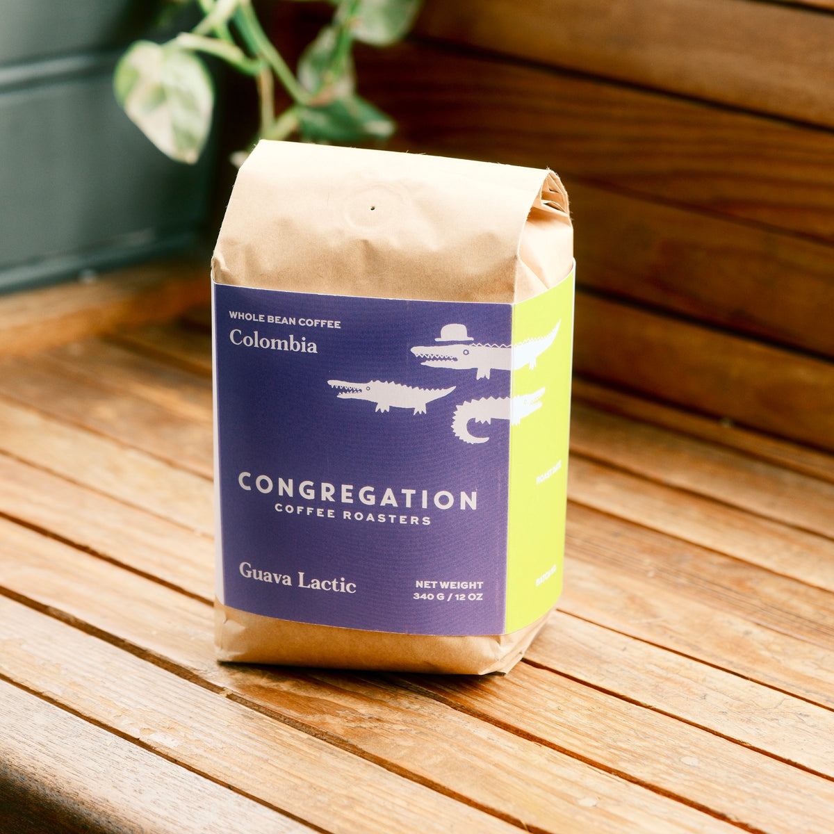 Congregation Coffee Roasters