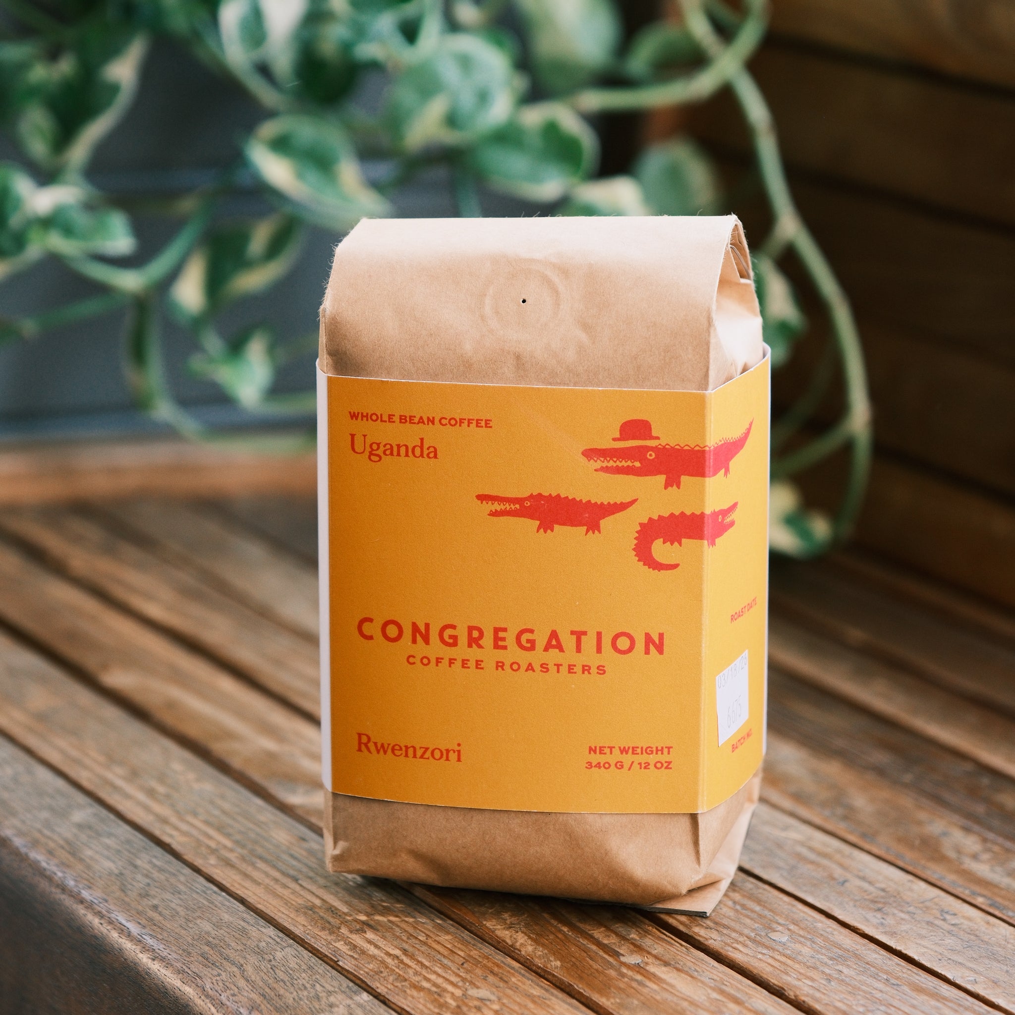Rwenzori – Congregation Coffee
